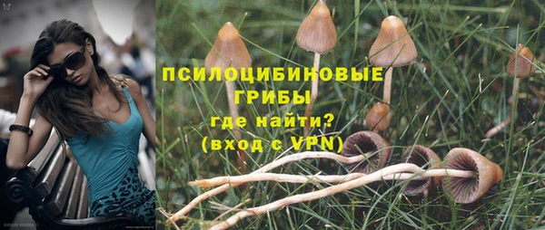 трава Краснотурьинск