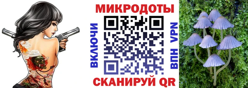 Псилоцибиновые грибы прущие грибы  Купить закладки  Венёв 